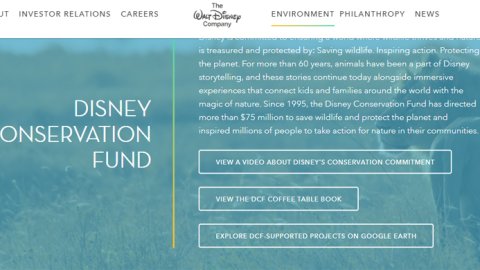 Nueva convocatoria del fondo para la conservación de Disney