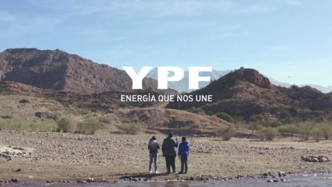 "Diversidad" la campaña de Liebre Amotinada para YPF 