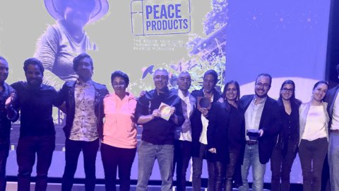  ELDORADO dio a conocer todos los ganadores del festival 2019