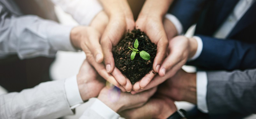 Marketing y cuidado ambiental, el nuevo foco para las marcas