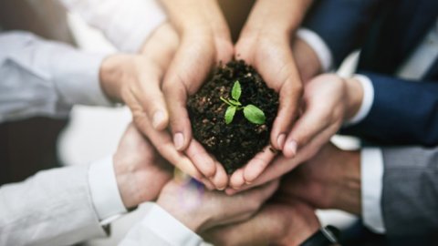 Marketing y cuidado ambiental, el nuevo foco para las marcas