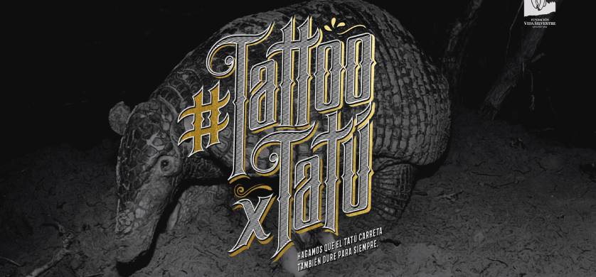 "TattooxTatú", la campaña de concientización de VMLY&R y Fundación Vida Silvestre