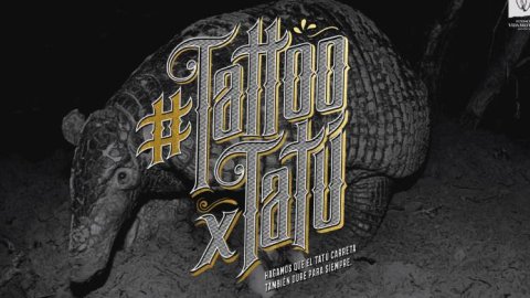 "TattooxTatú", la campaña de concientización de VMLY&R y Fundación Vida Silvestre