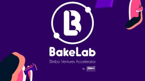Bimbo lanzó la convocatoria a su programa de aceleración para emprendedores
