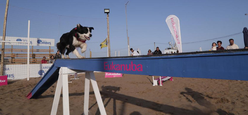El primer ATP “dog friendly” de América está en Córdoba
