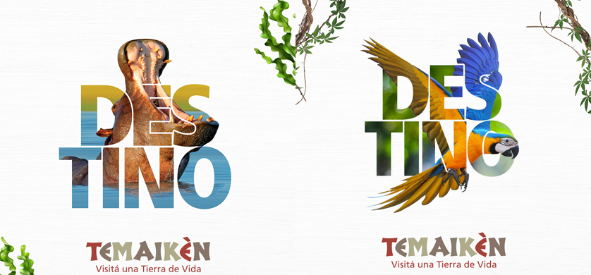 “Destino Temaikèn”, la nueva campaña de Rapp