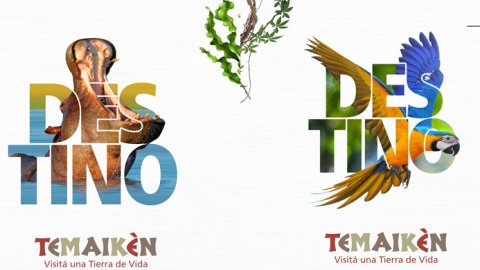 “Destino Temaikèn”, la nueva campaña de Rapp