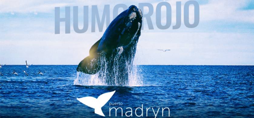 Humo Rojo manejará la comunicación de Madryn