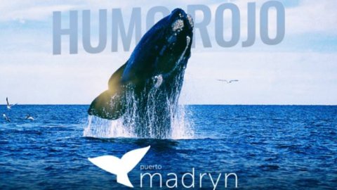 Humo Rojo manejará la comunicación de Madryn