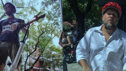 Acción de Falabella en el programa Perros de la Calle