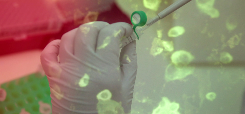 Coronavirus: oportunidad para fomentar los buenos hábitos y proteger a los niños