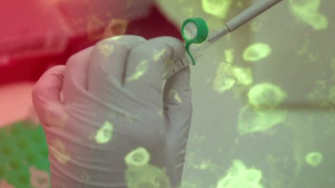 Coronavirus: oportunidad para fomentar los buenos hábitos y proteger a los niños