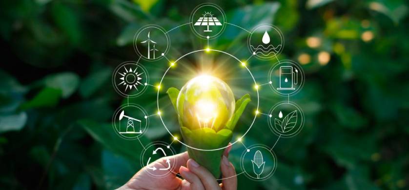 Nace EconomiaSustentable.com, un nuevo portal de noticias