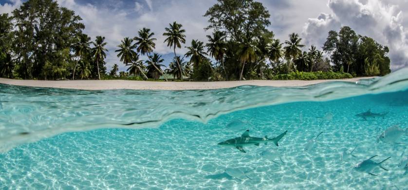 TVCortos celebra el Día de la Tierra con 13 documentales sobre el cuidado del planeta