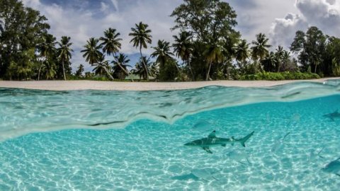 TVCortos celebra el Día de la Tierra con 13 documentales sobre el cuidado del planeta