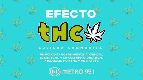 FM Metro y la revista THC lanza el podcast “Efecto THC”