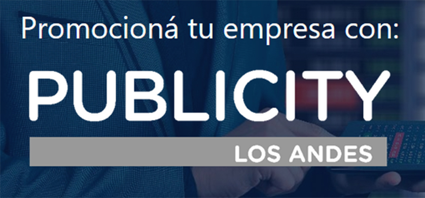 Publicity, la plataforma publicitaria de Los Andes online