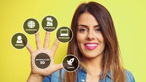 ¿Qué son las organizaciones 5D?