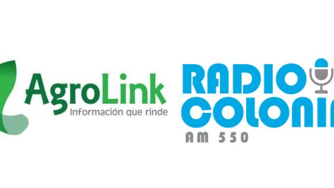 Agrolink Radio en En Radio Colonia AM 550