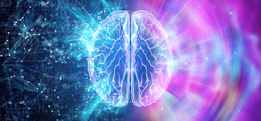 El neuromarketing puede aumentar hasta un 10% las ventas de los establecimientos físicos