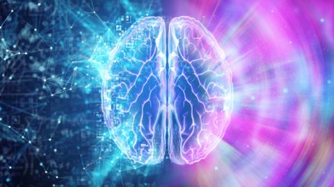 El neuromarketing puede aumentar hasta un 10% las ventas de los establecimientos físicos
