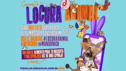 Nickelodeon anunció un concurso para los niños y sus mascotas