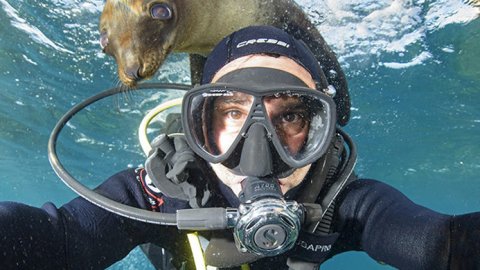 Acción de Nat Geo junto a exploradores por el Día del Medio Ambiente