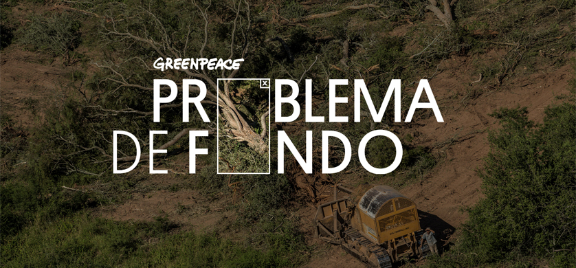 "El Problema de Fondo", lo nuevo de Hoy para Greenpeace