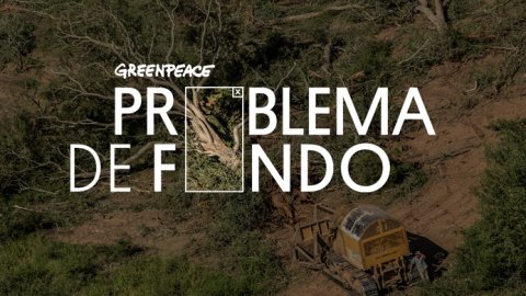 "El Problema de Fondo", lo nuevo de Hoy para Greenpeace