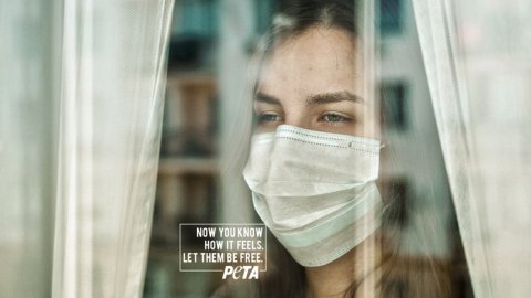 "Cautiverio", lo nuevo de Archer Troy para PeTA