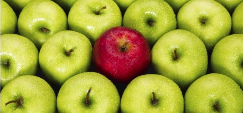 Kantar: Innovar, la clave para la recuperación de las marcas