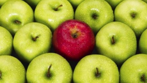 Kantar: Innovar, la clave para la recuperación de las marcas