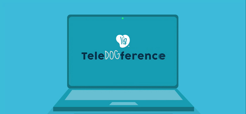 "TeleDOGference", el primer trabajo de AnyGivenDay para LIQ USA