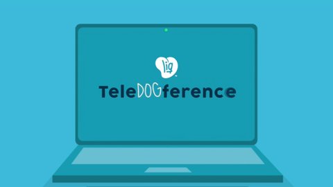 "TeleDOGference", el primer trabajo de AnyGivenDay para LIQ USA