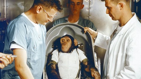 Smithsonian Channel nominado para seis Premios Emmy