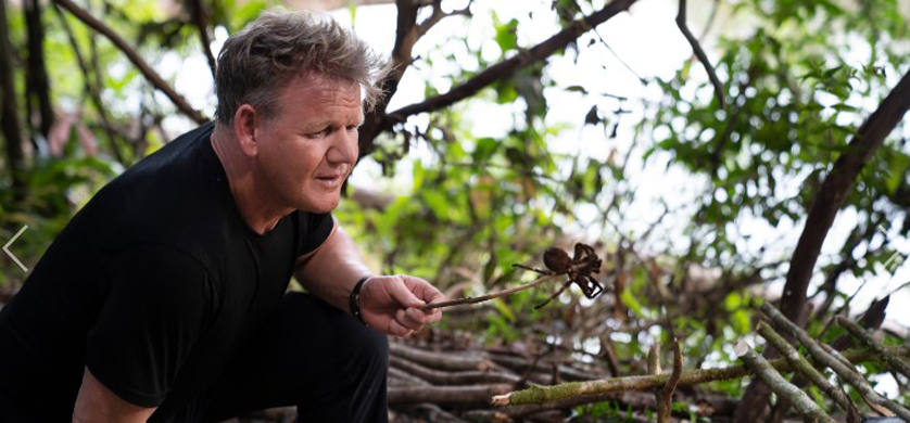 Gordon Ramsay regresa a National Geographic con “Sabores extremos”