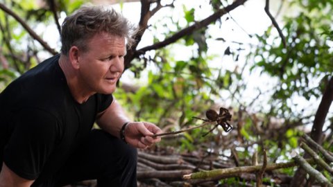 Gordon Ramsay regresa a National Geographic con “Sabores extremos”