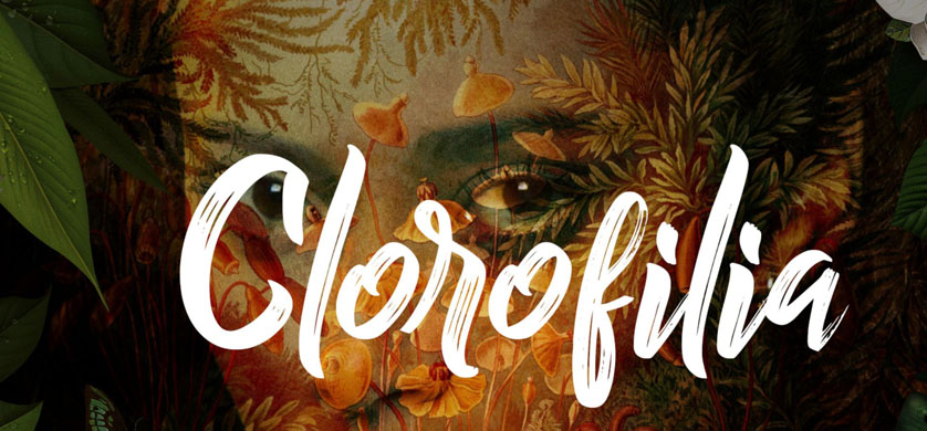 Clorofilia, seleccionada para participar del Wildscreen festival