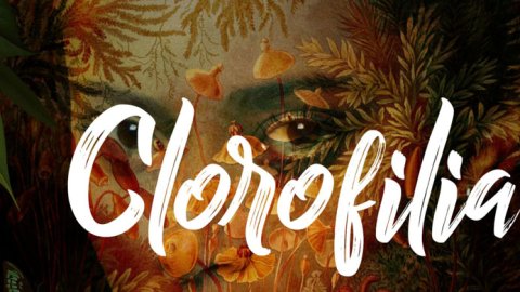 Clorofilia, seleccionada para participar del Wildscreen festival
