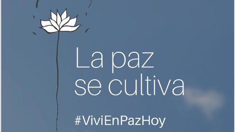 Diseño que te adora y Empatía Comunidad presentan: #ViviEnPazHoy