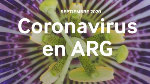 Coronavirus en Argentina: el pulso del contexto, las personas, las marcas y los medios