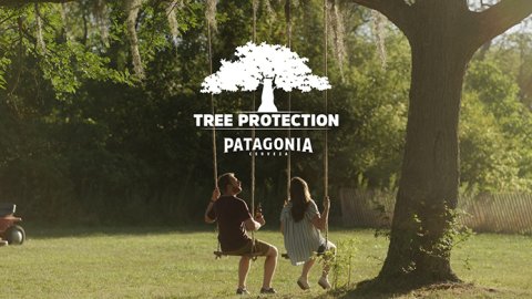 Nueva campaña de GUT para Cerveza Patagonia: "Tree Protection"