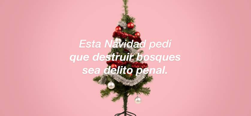 Acción de Digitas y Greenpeace para hablar de los bosques quemados