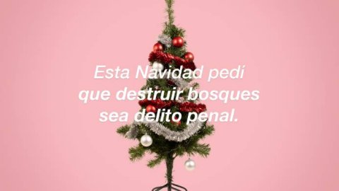 Acción de Digitas y Greenpeace para hablar de los bosques quemados