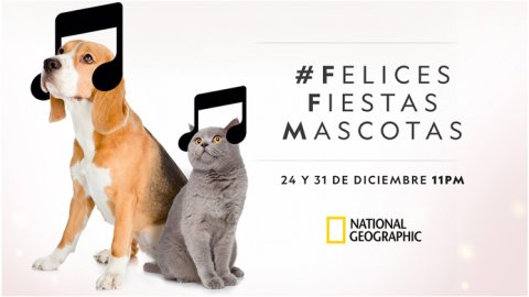 National Geographic presenta la 4a edición de “Felices Fiestas, Mascotas”