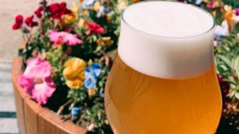 Kunstmann propone acompañar las tardes de verano con una Hoppy Weissbier