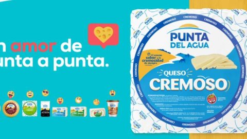 "Un amor de Punta a Punta", la campaña de Room 23 y Crash para Punta del Agua