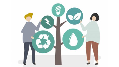 Tendencias en consumo sustentable: las transformaciones en retail y puntos de venta