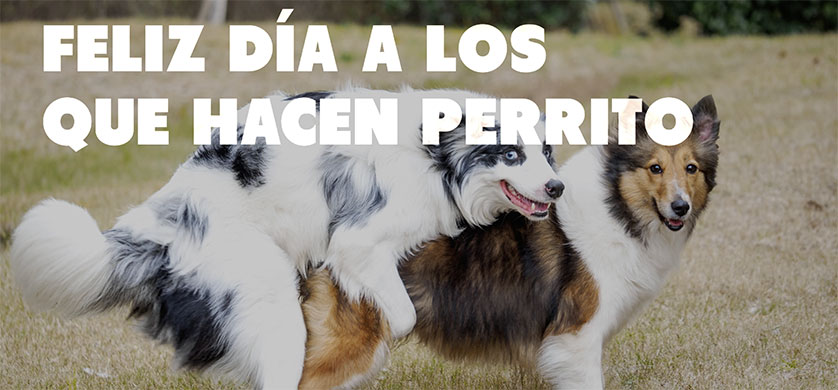 Con una campaña Maxx Preservativos celebra el Día del Animal