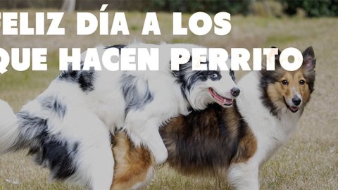 Con una campaña Maxx Preservativos celebra el Día del Animal